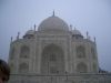 CIMG0185-web.jpg